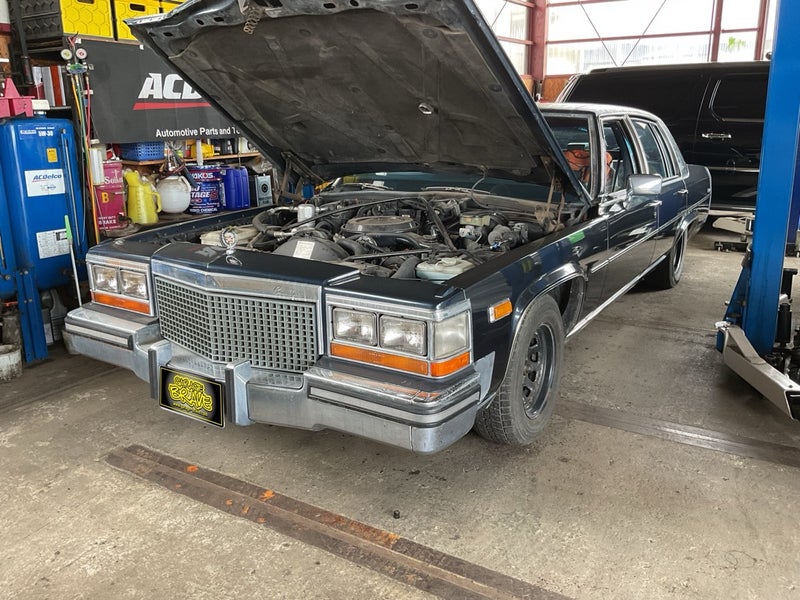 サムネール画像