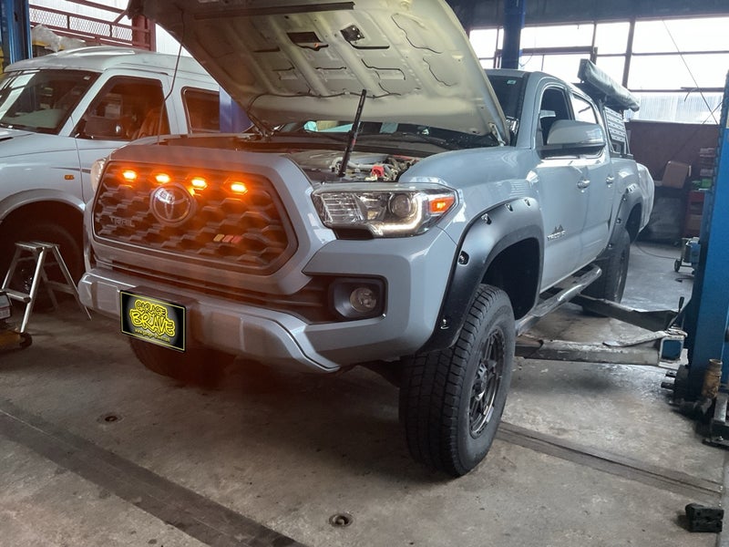 サムネール画像